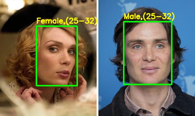 Demographics with Camera Vision Processing